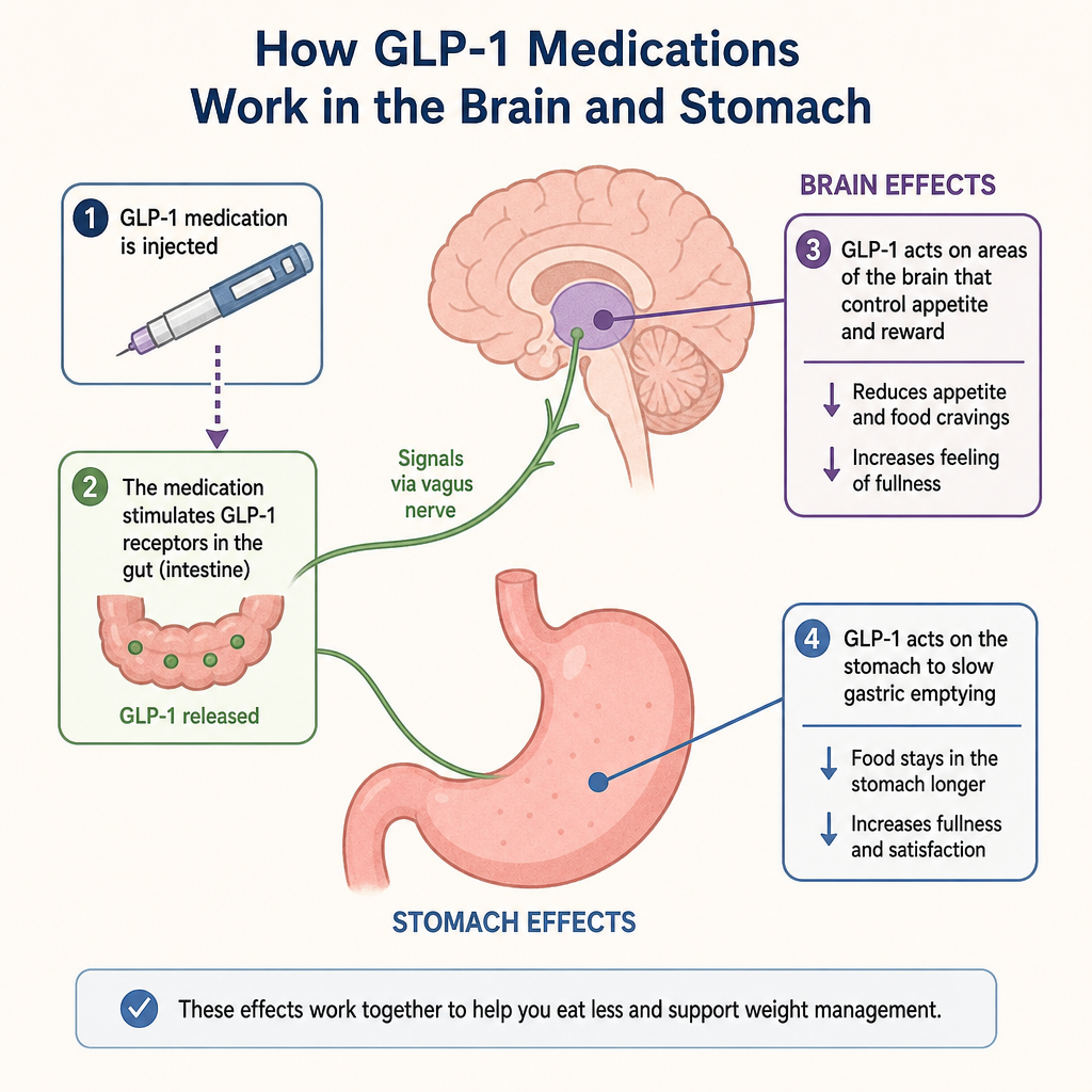 Illustration demonstrating how GLP-1 medications interact with the brain and stomach